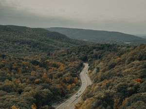 Превью обои дорога, машины, лес, деревья, осень