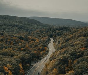 Превью обои дорога, машины, лес, деревья, осень