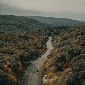 Превью обои дорога, машины, лес, деревья, осень