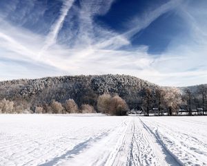 Превью обои дорога, небо, белый, проселочная, мороз, следы, деревья, легкость