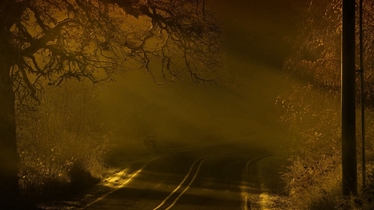 Обои дорога, ночь, туман, разметки