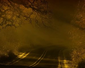 Превью обои дорога, ночь, туман, разметки