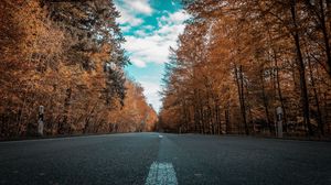 Превью обои дорога, осень, деревья