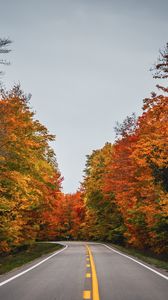 Превью обои дорога, осень, деревья, природа