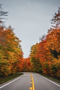 Превью обои дорога, осень, деревья, природа