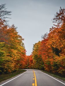 Превью обои дорога, осень, деревья, природа