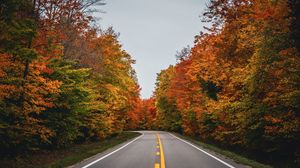 Превью обои дорога, осень, деревья, природа