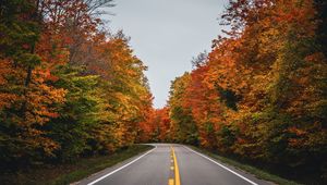 Превью обои дорога, осень, деревья, природа