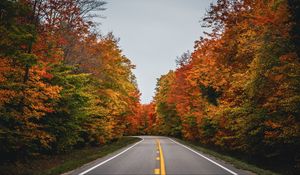 Превью обои дорога, осень, деревья, природа