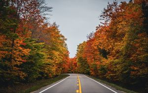 Превью обои дорога, осень, деревья, природа