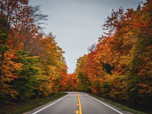 Превью обои дорога, осень, деревья, природа