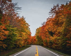 Превью обои дорога, осень, деревья, природа