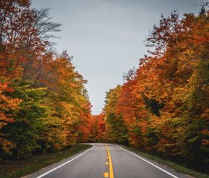 Превью обои дорога, осень, деревья, природа