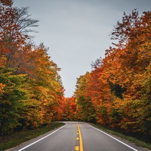 Превью обои дорога, осень, деревья, природа