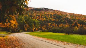 Превью обои дорога, осень, деревья, листья, лес