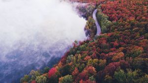 Превью обои дорога, осень, туман, деревья