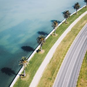 Превью обои дорога, пальмы, вид сверху, берег, море