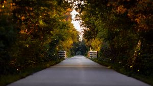 Превью обои дорога, парк, аллея, деревья