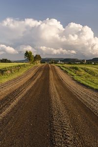 Превью обои дорога, поле, трава, небо, деревья