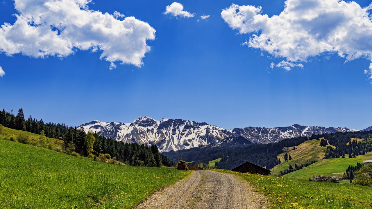 Обои дорога, поля, деревья, горы, облака, природа