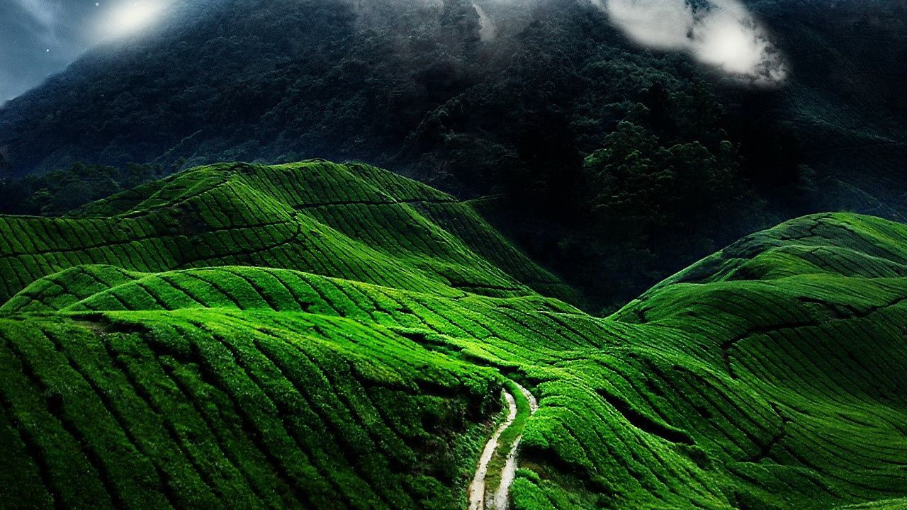 Обои дорога, поля, облака, склоны, зелень