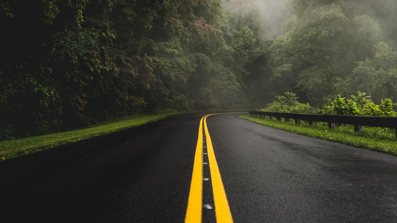 Обои дорога, поворот, асфальт, туман, деревья
