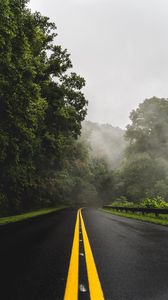Превью обои дорога, поворот, асфальт, туман, деревья