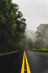 Превью обои дорога, поворот, асфальт, туман, деревья