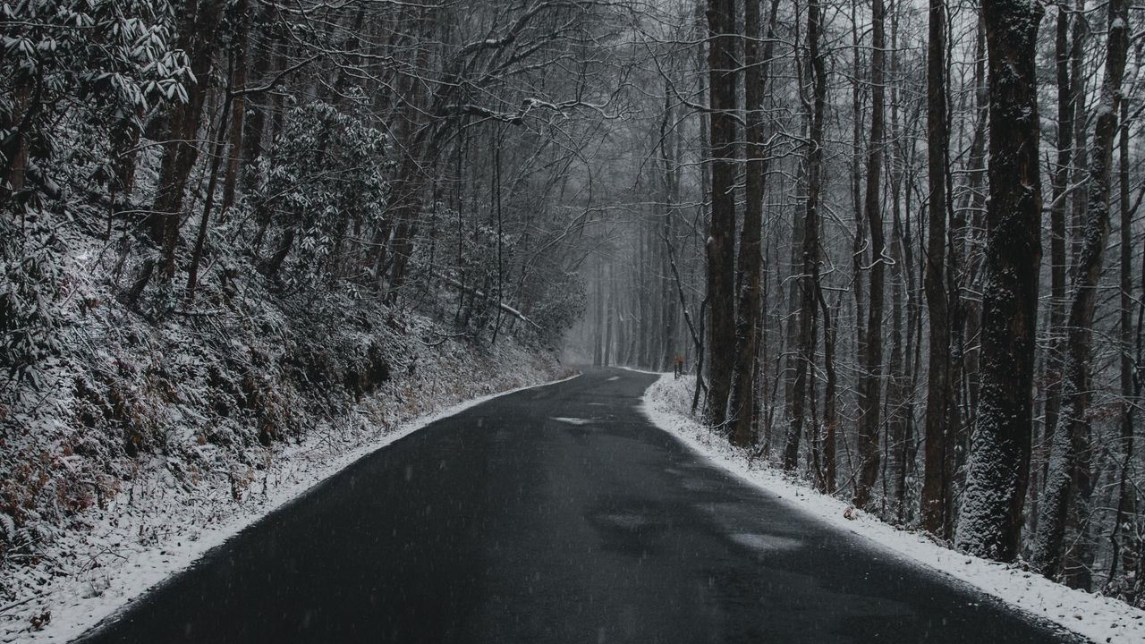 Обои дорога, поворот, деревья, снег, пасмурно