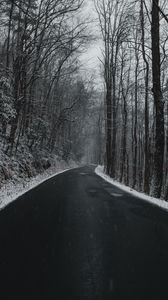 Превью обои дорога, поворот, деревья, снег, пасмурно