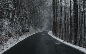 Превью обои дорога, поворот, деревья, снег, пасмурно