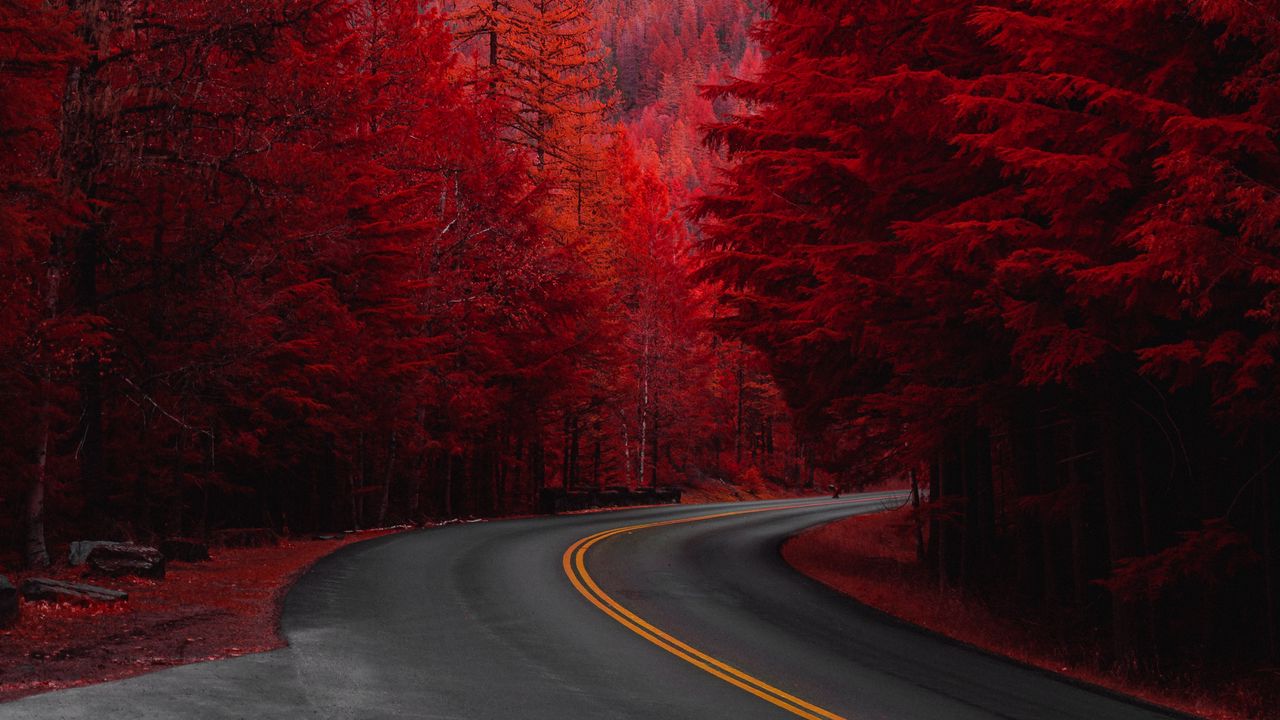 Обои дорога, поворот, деревья, красный, гора, пейзаж