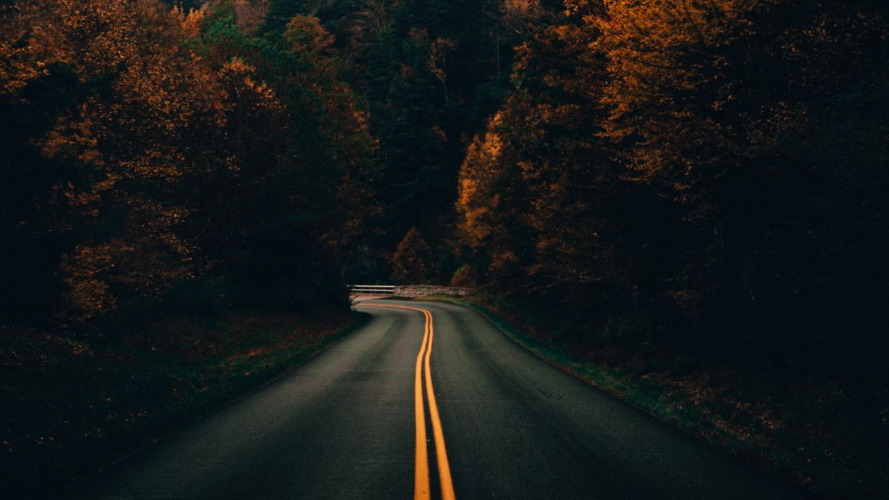 Обои дорога, поворот, деревья, осень, природа