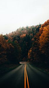 Превью обои дорога, поворот, деревья, осень, природа
