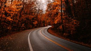 Превью обои дорога, поворот, деревья, осень, опавшая листва, природа