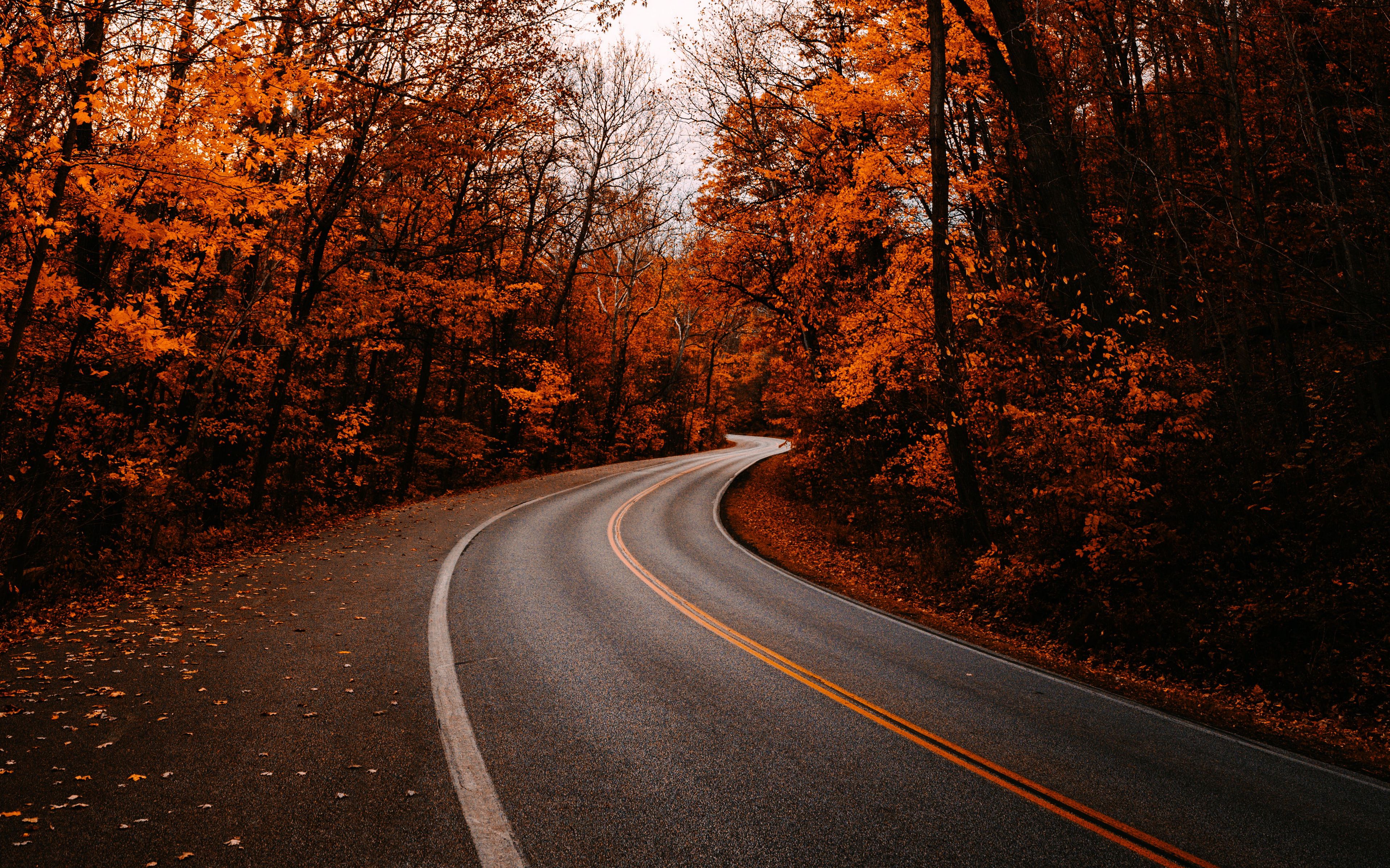 Fall road wallpaper