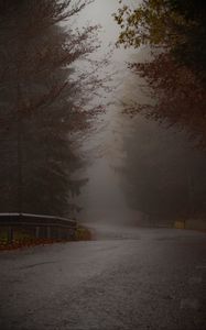 Превью обои дорога, поворот, деревья, туман, осень