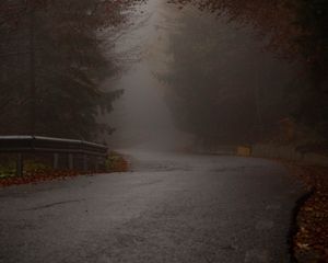 Превью обои дорога, поворот, деревья, туман, осень