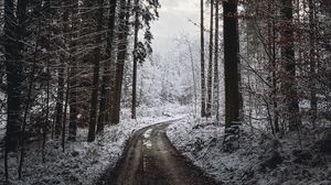Превью обои дорога, поворот, деревья, снег, зима, черно-белый