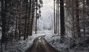 Превью обои дорога, поворот, деревья, снег, зима, черно-белый