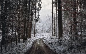 Превью обои дорога, поворот, деревья, снег, зима, черно-белый