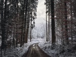 Превью обои дорога, поворот, деревья, снег, зима, черно-белый