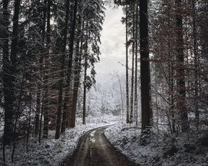 Превью обои дорога, поворот, деревья, снег, зима, черно-белый