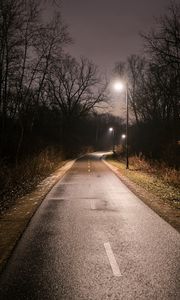Превью обои дорога, поворот, фонари, деревья, ночь, темный