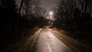 Превью обои дорога, поворот, фонари, деревья, ночь, темный