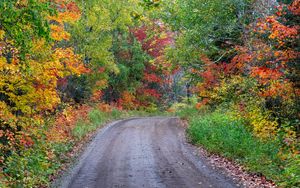 Превью обои дорога, поворот, лес, деревья, осень, природа