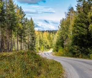 Превью обои дорога, поворот, лес, деревья, природа, пейзаж