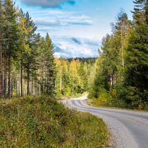 Превью обои дорога, поворот, лес, деревья, природа, пейзаж