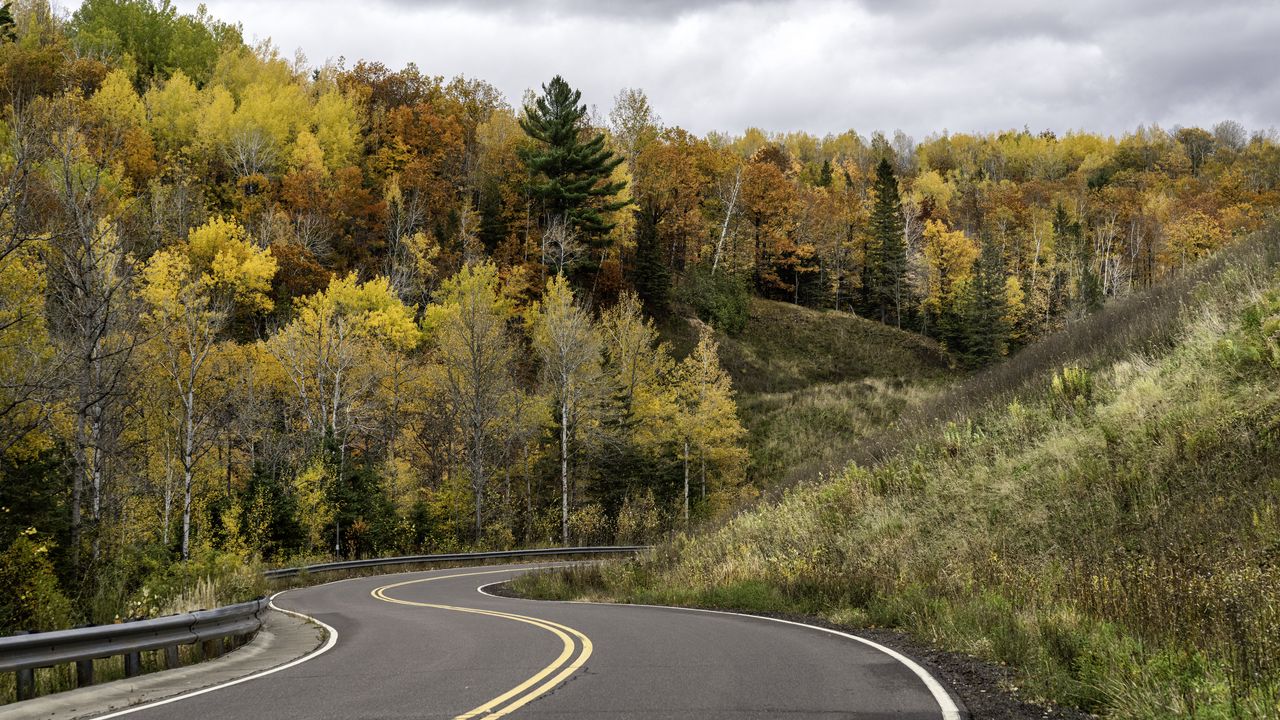 Обои дорога, поворот, лес, осень, природа