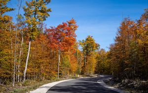 Превью обои дорога, поворот, лес, осень, деревья